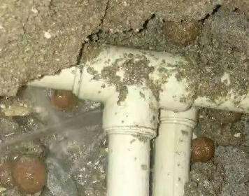 乌什测漏水多少钱