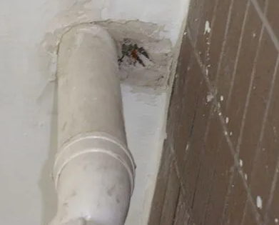 乌什漏水检测哪家好